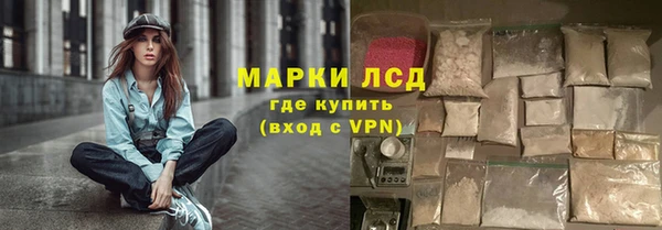 ГАЛЛЮЦИНОГЕННЫЕ ГРИБЫ Алексин