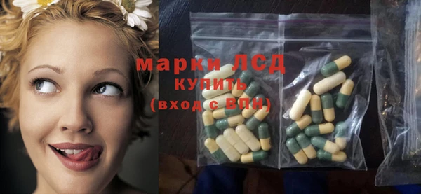 мяу мяу мука Алзамай