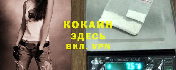мяу мяу мука Алзамай