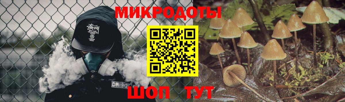Псилоцибиновые грибы Psilocybine cubensis Асбест