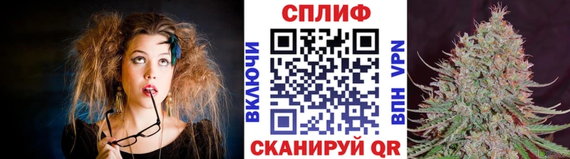 Канабис семена где купить наркоту Асбест
